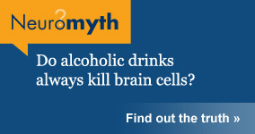 Neuromyth: Do alcoholic drinks always kill brain cells?